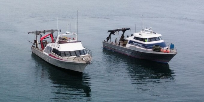 Marine Services NZ Limited